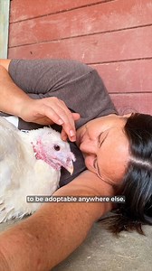 15K views · 1K reactions | When we rescue animals, we do whatever it...