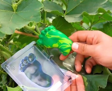 1.2M views · 3K reactions | Bloom better! Time-saving gardening tips & tricks! | 5-Minute Crafts | Facebook