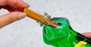 7 tips to get rid of insects in the house – Archyde