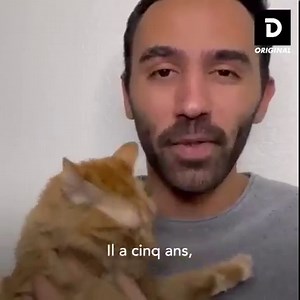 Ce chat adore discuter avec son maître ! ❤️ | Demotivateur