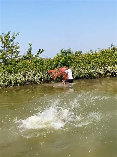 Top Tips for Successful Net Fishing Adventures