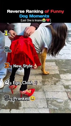 Reverse Ranking of Funny Dog Moments