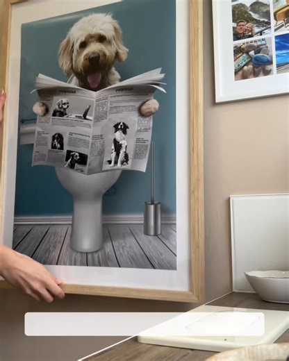 Do you love your dog? 🐶 Now you can honour your furry friend on a poster! 😍 Step 1: Upload your own image 📸 Step 2: Check the LIVE preview 👀 Step 3: Your poster will be shipped in 3-5 days 📦 Design now 👉 pet-printed.com/poster2 | Pet Printed