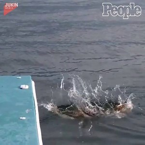 58K views · 304 reactions | Hopping into the shower after a stressful day like...  | People | Facebook