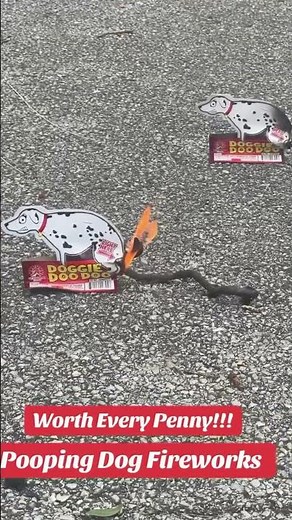 Dog Pooping Fireworks. 😂