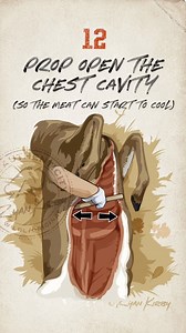 Here’s a series of field dressing illustrations I did over a decade ago for a beginning hunter course. It was one of my first projects as a full-time freelancer. Most folks have their own preferred way, and it varies somewhat. When I was growing up doing deer drives, we’d split the pelvic bone with a hatchet right their in the field. When I moved away, nobody did that. For this project, I followed the steps the client wanted, like a good sub always does. 😜 #wildlyoriginal #artofhunting #deerhun
