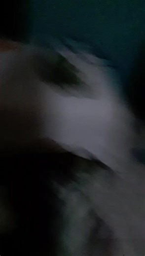 El max (@elcartom0)’s videos with sonido original - El max