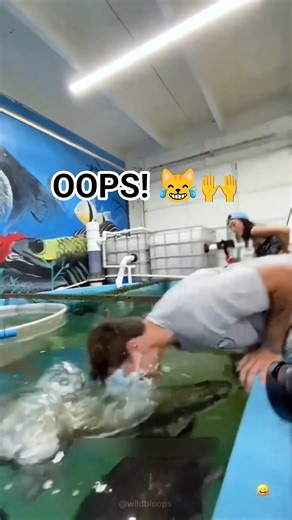 😂 Try Not To Laugh at These Wild Animal Fails & Funny Attacks! 😹🐶 2026
