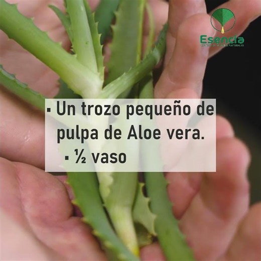 🌿 La naturaleza tiene infinitas formas de acompañar tu salud
