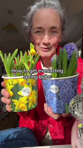 Easy Spring Bulb Gardening for a Budget
