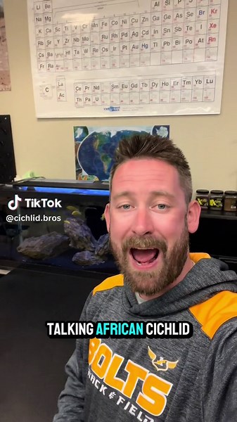 Cichlid Bros on TikTok