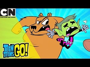 Teen Titans Go! | The Titans VS The Bears | Cartoon Network