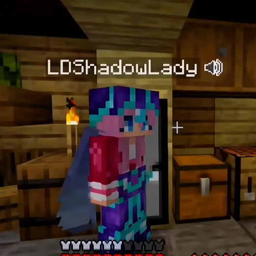 LDSHADOWLADY Edit: A Quirky Minecraft Journey