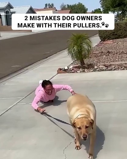 Stop wasting time and money on training that doesn't work. You've...