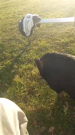 Enzo Baldini on Reels