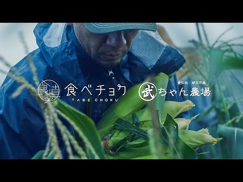 メロンより甘いとうもろこし 武ちゃん農場篇【食べチョク生産者特集】