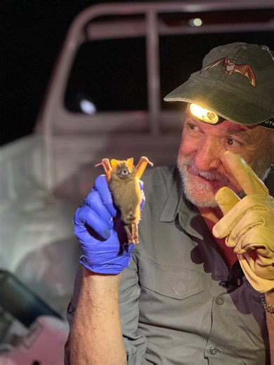 Mexico’s bat man on saving the ‘most unfairly treated animals on Earth’