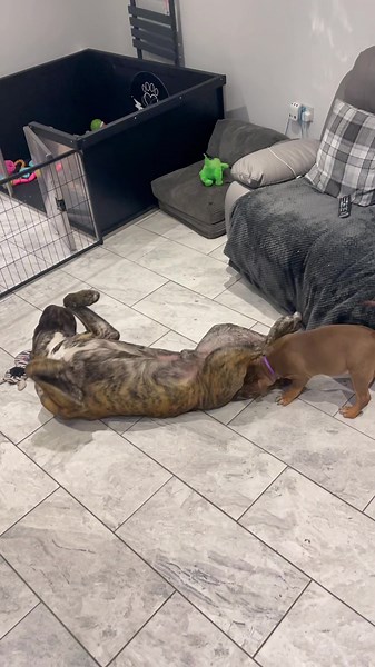 Best of friends 🥺🥺🥺🥺