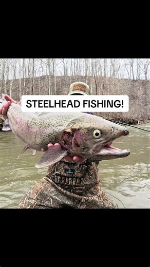 Had a terrific day on the creek! Lots of hard work paying off with a wonderful fish. These aquatic critters can be quite picky sometimes and once you find out what’s on the menu that day you’re in for a treat! This big male put up a big fight in the fast moving current on my @Redingtongear wrangler Trout 5wt. IMPORTANT ⬇️ If you enjoyed this GoPro footage please let me know in the comments and feel free to leave any criticism or recommendations for me to make these more enjoyable for you. I’m al