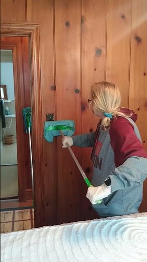 Cleaning wood paneling