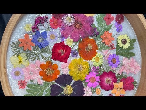 #16 Pressing Fresh Flowers in Microwave