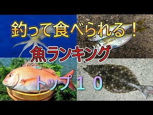 釣れて美味しい魚ランキング10
