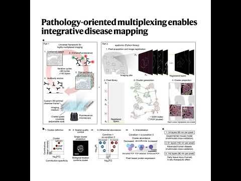 136-PathoPlex: 时空蛋白质组学分析平台