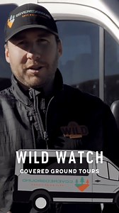 Don't know where to start when exploring Yellowstone? #WildWatch ambassador and owner of CoveredGround Tours Colter Jones takes us through the upper loop of Yellowstone National Park—starting and ending in Cody, Wyoming. Watch the full video: https://bit.ly/4fafyuM | Cody Yellowstone