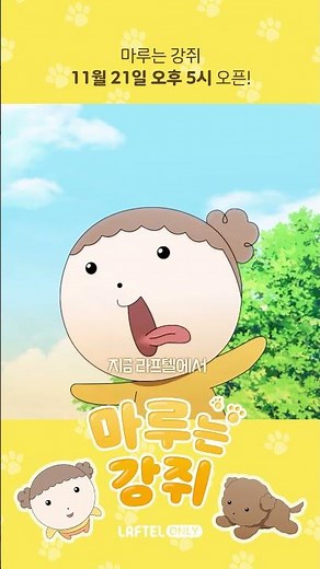마루는 강쥐🐶 D-1 💛 | 라프텔 언니, 오빠들에게 보내는 마루의 영상편지 도착💌