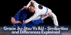 Gracie Jiu-Jitsu Vs BJJ - Similarities and Differences Explained | 2025