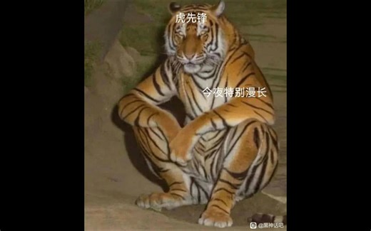 黑神话悟空英伟达专属驱动，风灵月影，dx12修复工具，简介链接