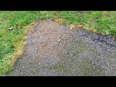 How to get rid of moss on a terrace? On the ground, without chemicals or bleach