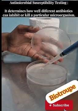 Antimicrobial Susceptibility Test Explained | Step-by-Step Lab Demonstration.