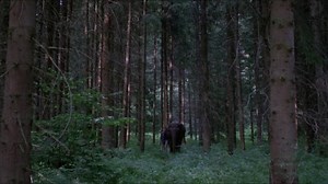 Hannibal Brooks (1969)