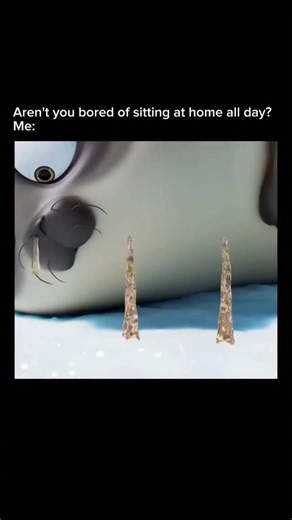 BESTFILMS on Instagram: "🎬 Sealook 2023 ‧ Animation/Comedy ‧ 1 season 📜 Storyline In this playful animated short-form series, a lively bunch of seals at a wildlife sanctuary goof around, play, swim, and face silly challenges together. Without dialogue, each episode uses action, music, and physical comedy to show their quirky personalities, friendship, and everyday antics. It’s lighthearted, fun, and perfect for kids and families who love cute animal stories with lots of energy and laughs."