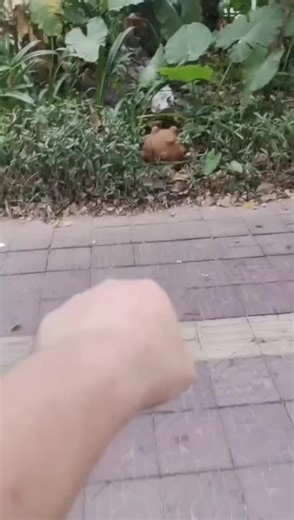 Cemetery design case Shaoshan Tianrun Garden # cemetery planning # cemetery design # Tombstone # landscape design # memorial # rebirth