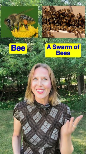 Did you know? A group of crows is called a murder! | JForrest English