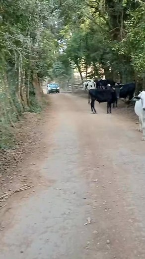 Carlos Roberto Leal on Reels