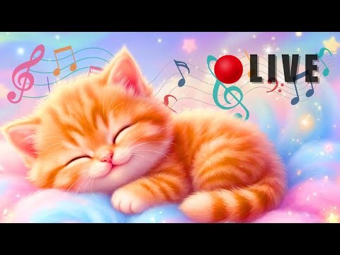 🔴 LIVE : Baby Sleep Music | Smart Brain Growth with Mozart | Slow Classical for Intelligent Babies