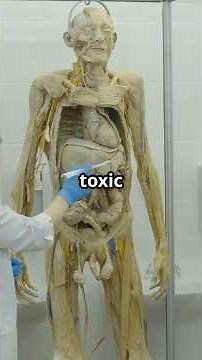 "How Scientists Turn Bodies Into Plastic | The Science of Plastination Explained in 60 Seconds#facts