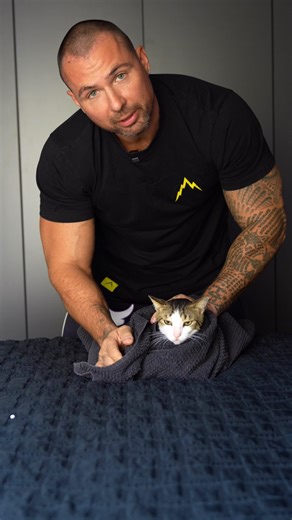 Keesya & Marshall on Instagram: "Giving your cat a pill - The Burrito Method I have to admit that this is better than a pill feeder, cuz that requires scuffing and it’s over all more traumatizing. When the cat is tightly wrapped, he/she is less likely to move and try to get away, plus you eliminate the possibility of getting scratched."