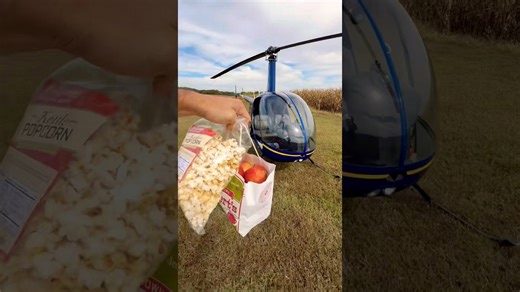 The best way to pick up apples!