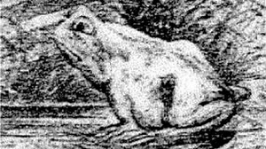 Csak kevesen látják a képen a lovat. Te köztük vagy?