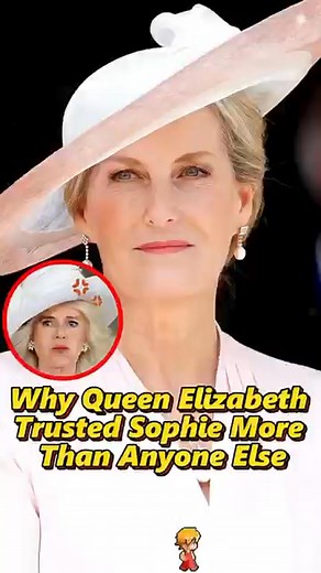 69K views · 1.6K reactions | Knowledge web on Reels | Facebook