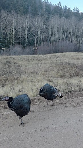 Happy residents of Bonanza CO | Robert Edwards