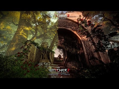 FIRST PERSON CAMERA (FPC)