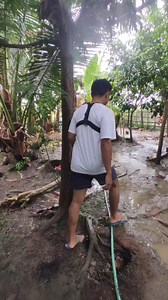 rain rain 🌧️ | Lyle Felia