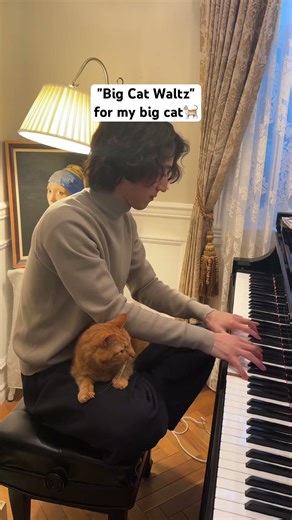 "Big Cat Waltz" for my big cat🐈