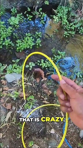 Portable RO System: See What's REALLY in Your Water! #shorts