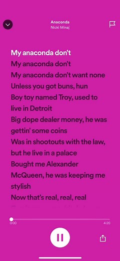 Nicki Minaj Anaconda Song Lyric Video